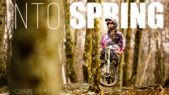 Video: Into Spring